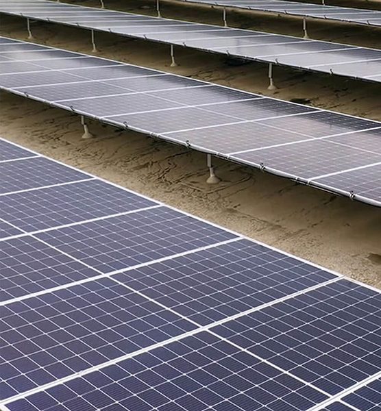 Solar panel rows on the Chatsworth rooftop, seen from roof level