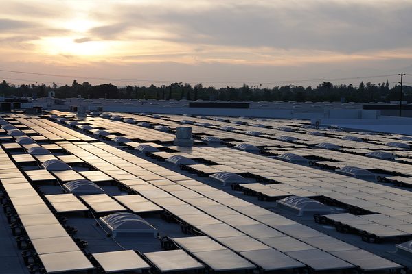 Rows of solar panels catching late light at Vitco Foods