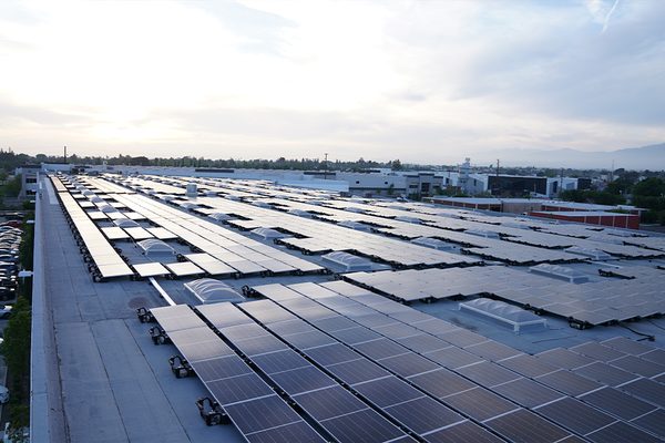 Long rows of solar panels stretching across the Vitco Foods site